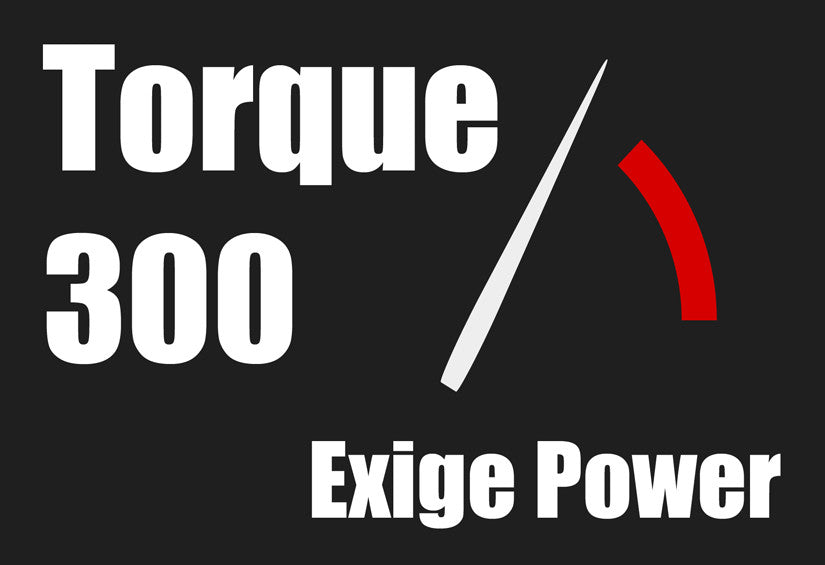 Torque300+ Flash